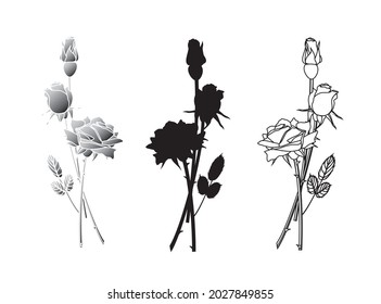 Set of flowers roses Icon Isolated on white background. Vector silhouette drawing. 