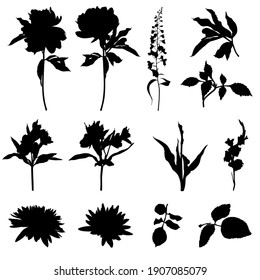 Set of flowers silhouettes. Black summertime poster. Collection of scrapbooking elements for beach party with exotic plants.