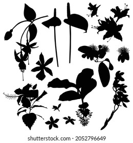 Set of flowers silhouettes. Black summertime poster. Collection of scrapbooking elements for beach party with exotic tropical flowers.