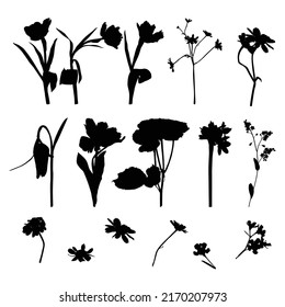 Set of flowers silhouettes. Black summertime poster. Collection of scrapbooking elements for party with garden plants.