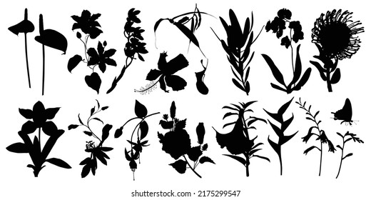 Set of flowers silhouettes. Black summertime poster. Collection of scrapbooking elements for party with garden plants.