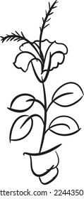 A set of flowers in a simple line art vector format.