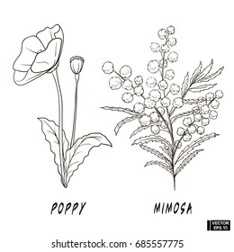 Set of flowers sketch