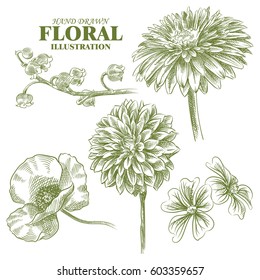 Set of flowers sketches isolated on white background. Hand-drawn poppy, lilies of the valley, chrysanthemum in sketch style. Retro hand-drawn floral, vector illustration.