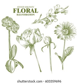 Set of flowers sketches isolated on white background. Hand-drawn Sakura, peonies, chamomile, orchid in sketch. Retro hand-drawn floral, vector illustration.