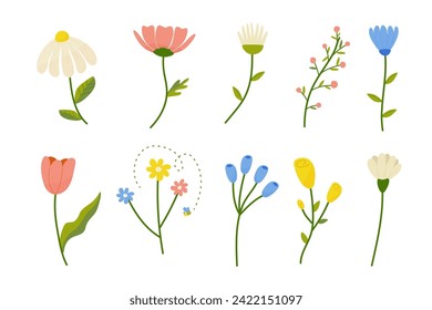 A set of flowers, spring, hand painting. For decorating your postcards, wedding invitation design