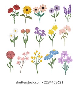 Set of flowers, spring flowers vector illustration.	