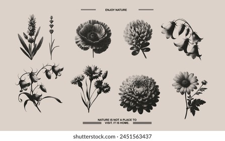 Set of flowers stipple effect. Chamomile, bell flower, chrysanthemum, clover, lavender collection with grunge noise texture. Vector illustration