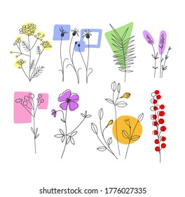 Set of flowers. Stock vector illustration. Floral poster, invite. 