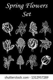 Set of flowers, tulips, daffodils, hyacinth, iris, white line sketch isolated on black background, vector illustration for design and decoration, for stickers, scarabbing, prints