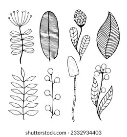 Conjunto de flores, pelucas y hojas. Coloreando la página del libro. Ilustración vectorial en blanco y negro. Doodle, dibujado a mano.