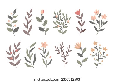 Set of flowers, twigs, sprigs, branches, wildflowers. Vector floral elements on white background.