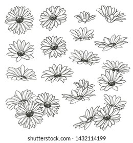 Set of flowers in various arrangements