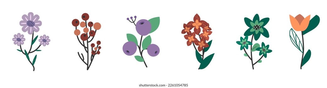 Set of flowers of various types and colors
