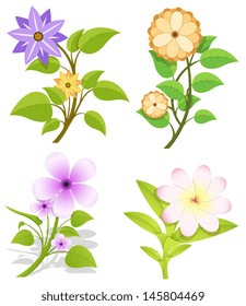 Set of Flowers Vector