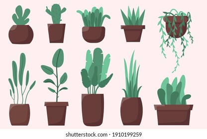 Set of flowers. Vector cartoon collection of flower.