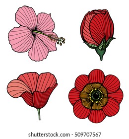 Set of Flowers. Vector color illustration. Isolated on white hand drawn image