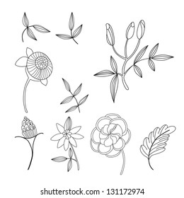 Set of flowers. Vector illustration