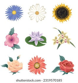 Set Of Flowers Vector Illustration