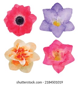 Set of flowers vector illustration. Flower on white background. Blossom hand drawn. Floral style. Flowers clipart for decoration, logo and greeting card.