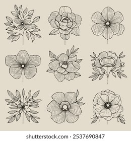 set of flowers vector illustration outline, flower black and white line art, lineart. Illustrator Artwork contour floral leaves, for cards, invitations, banners, posters, print design, decorative