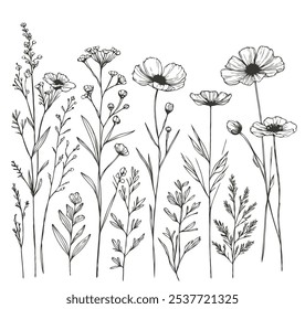 set of flowers vector illustration outline, flower black and white line art, lineart. Illustrator Artwork contour floral leaves, for cards, invitations, banners, posters, print design, decorative