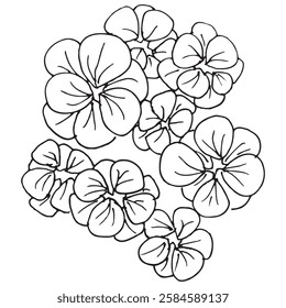 set of flowers vector outline illustration, black and white flower line art, lineart, made by hand draw.