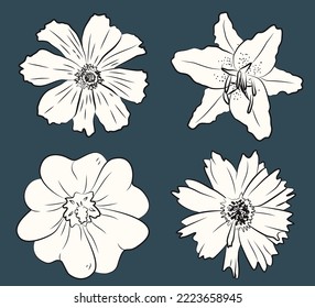 A set of flowers for your decor. light fill