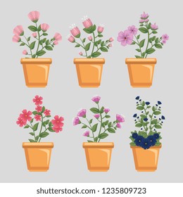 set flowersplants with leaves and petals inside plant pot