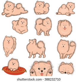 Set fluffy dog. Vector illustration on white background.