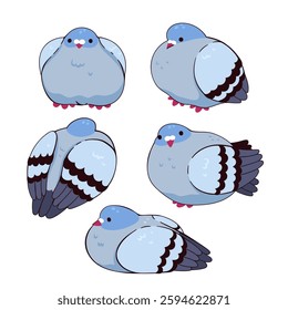 Set of fluffy fat cute pigeons. Vector graphics.