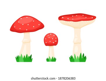 Set of fly agaric, amanita muscaria. Red poison mushroom isolated on white. Vector illustration, colorful cartoon design