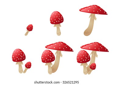 Set of fly agaric mushrooms