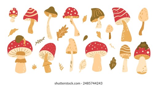 Set of fly agaric and toadstool. Inedible mushrooms kit. Vector hand drawn flat collection illustration isolated on white background.