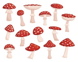 Set Of Fly Agaric, Vibrant, Red And White Forest Mushroom Known For Distinctive Appearance And Hallucinogenic Properties , Associated With Fairytale Imagery And Folklore. Cartoon Vector Illustration
