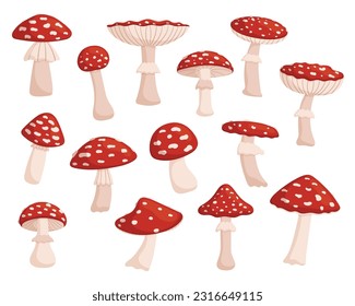 Set of Fly Agaric, Vibrant, Red And White Forest Mushroom Known For Distinctive Appearance And Hallucinogenic Properties , Associated With Fairytale Imagery And Folklore. Cartoon Vector Illustration