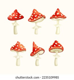 Set of fly agarics set. Amanita Muscaria poisonous forest mushrooms vector illustration