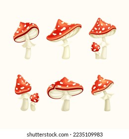 Conjunto de agarics de mosca. Cute Amanita Muscaria venenosa hongo forestal con capucha roja ilustración vectorial