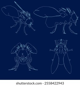 Set of fly outline - vector illustration. Isolated blue contour of insects