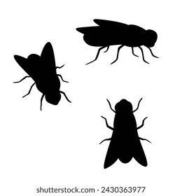 set of fly silhouette design. insect sign and symbol.