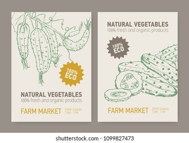 Set of flyer or poster templates with cucumbers sliced and grown on vine. Fresh organic vegetables hand drawn with contour lines. Vector illustration for farm market advertisement or promotion