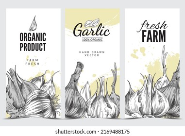 Flyer mit handgezeichnet gezogenen Garlicen, Texten und abstrakten gelben Formen, Vektorgrafik einzeln auf grauem Hintergrund. Frische ökologische Erzeugnisse, Naturwürze