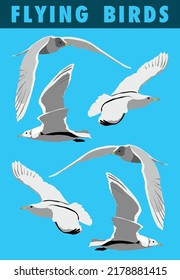 Set Of Flying Bird Clipart On Blue Background In Vector Illustration. Bird Collection Isolated.