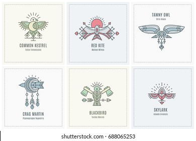 Set Of Flying Bird Logo Design, Geometric Tribal Archaic Emblem. Linear Style Vector Template For Label. Colorful, Pastel Tints