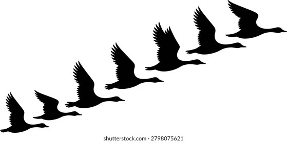 Set of Flying Bird Silhouette Flock Vector 