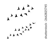 Set of flying bird silhouettes and flock illustrations on white and transparent backgrounds. Includes swallows, doves, and pigeons in minimalist, hand-drawn, and vector styles. 