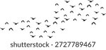 Set of flying bird silhouettes and flock illustrations on white and transparent backgrounds. Includes swallows, doves, and pigeons in minimalist, hand-drawn, and vector styles.