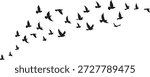 Set of flying bird silhouettes and flock illustrations on white and transparent backgrounds. Includes swallows, doves, and pigeons in minimalist, hand-drawn, and vector styles.