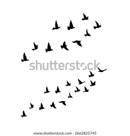 Set of flying bird silhouettes and flock illustrations on white and transparent backgrounds. Includes swallows, doves, and pigeons in minimalist, hand-drawn, and vector styles. 