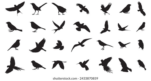 Set flying bird silhouettes isolated on white background